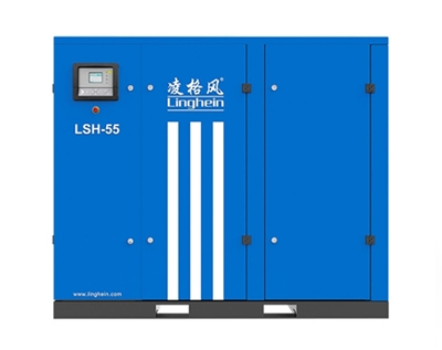 貴州 LSH永磁變頻空壓機